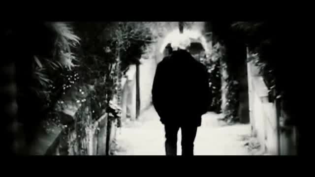 Alain Bashung - Immortels