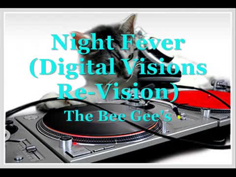 Bee Gees - Night Fever