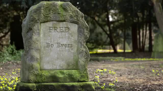 Bo Evers - Fred