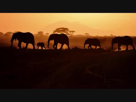 Burning Spear - Elephants