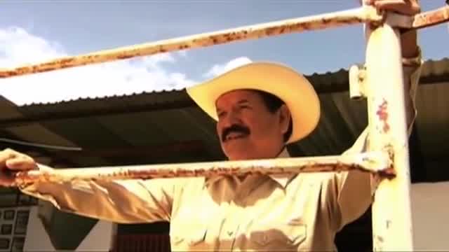 Cardenales de Nuevo León - No te extraño