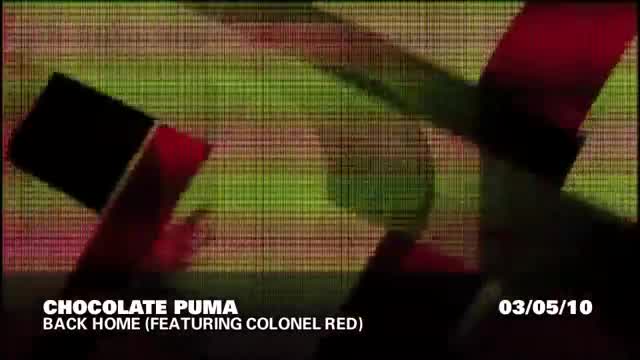 Chocolate Puma - Back Home