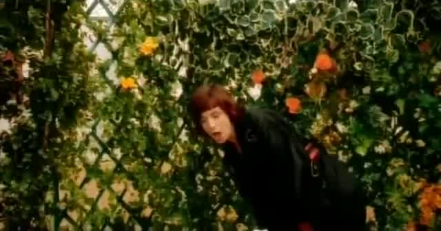 Cristina Donà - Nel mio giardino