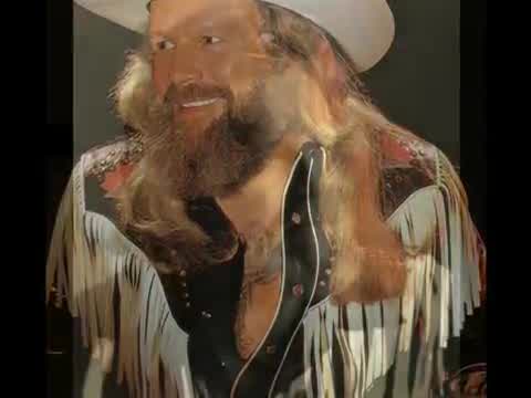 David Allan Coe - Another Pretty Country Song