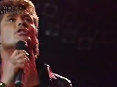 David Hasselhoff - Flying on the Wings of Tenderness