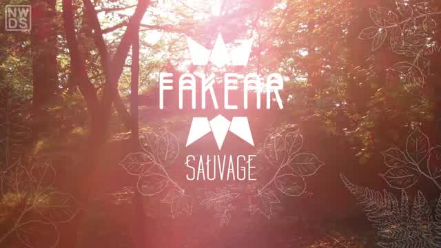 Fakear - Tigers