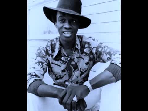 Johnny “Guitar” Watson - Ain’t That a Bitch