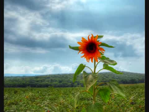 Lighthouse Family - Postcard From Heaven