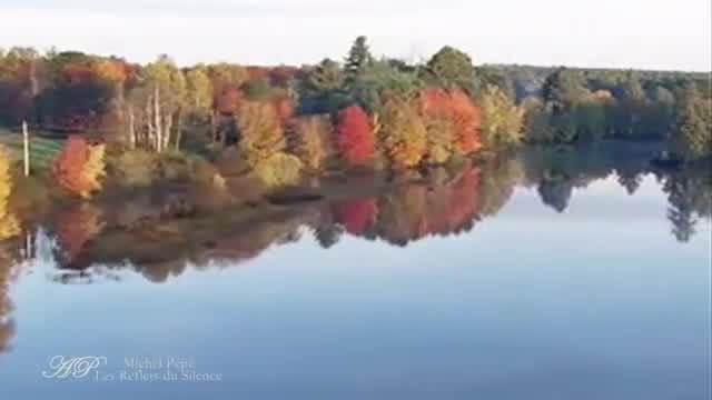 Michel Pépé - Les reflets du silence