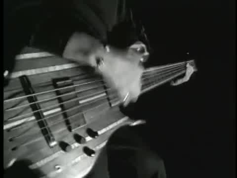 Primus - Tommy the Cat