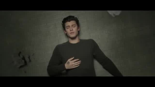 Shawn Mendes - In My Blood