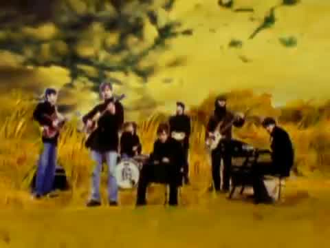 The Coral - In the Morning