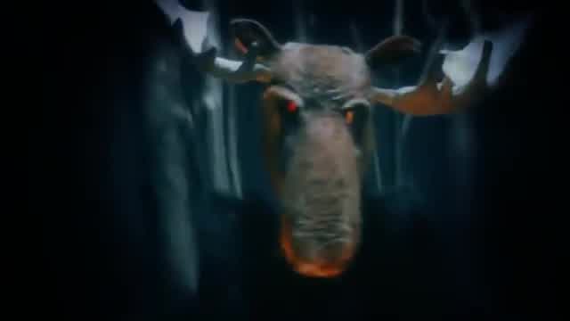 The Prodigy - Wild Frontier