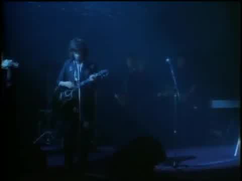 The Waterboys - The Whole of the Moon