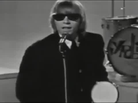 The Yardbirds - For Your Love