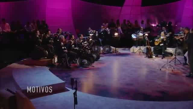 Vicente Fernández - Motivos