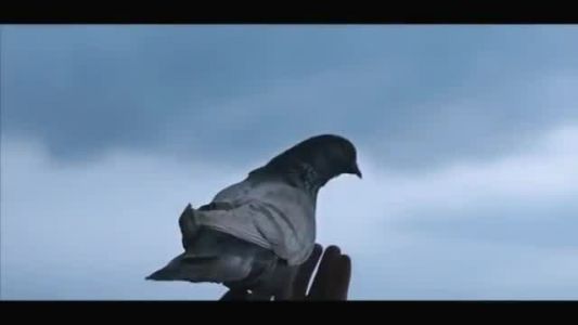 Göksel - Yalnız Kuş