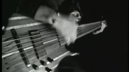 Primus - Tommy the Cat