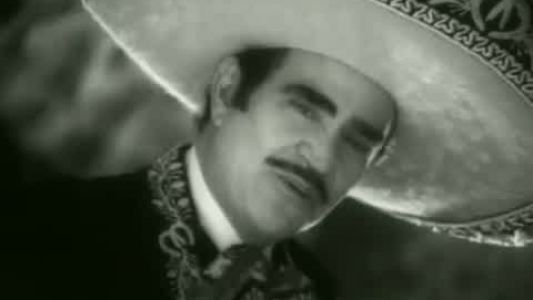 Vicente Fernández - Sublime mujer